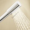 Душевая лейка Grohe Sena Stick (28034000)